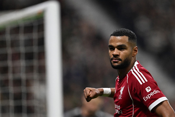 โคดี้ กัคโป