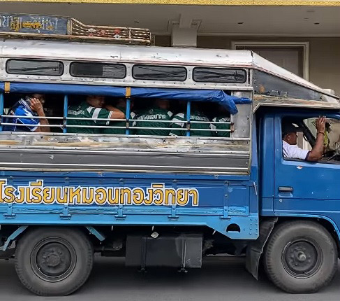 หมอนทองวิทยา