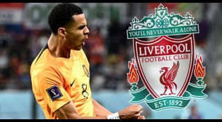 โคดี้ กัคโป