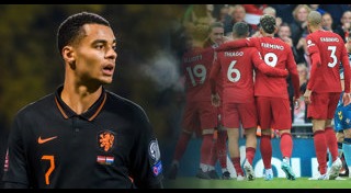 โคดี้ กัคโป